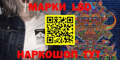 крисы Шахты