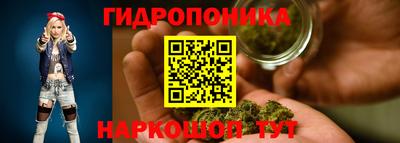 крисы Шахты