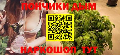крисы Шахты